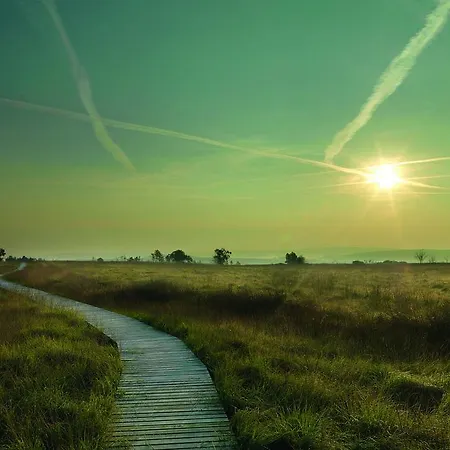 Hotel Buetgenbacher Hof 4*