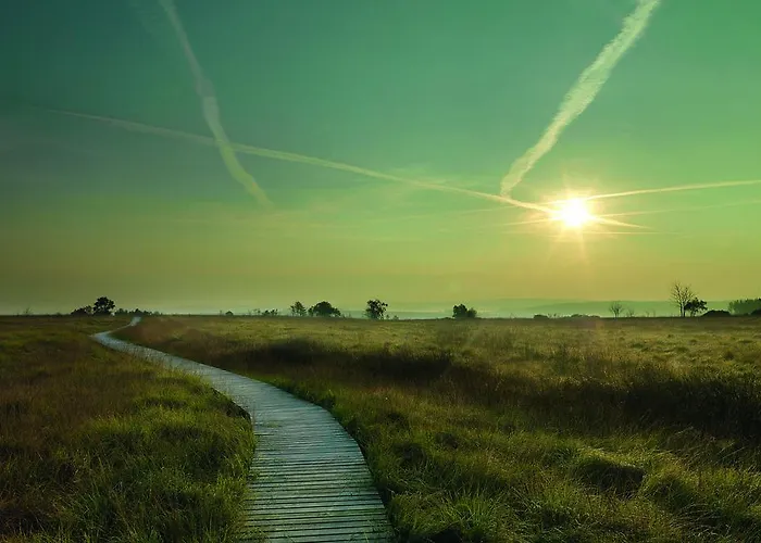 Hotel Buetgenbacher Hof 4*